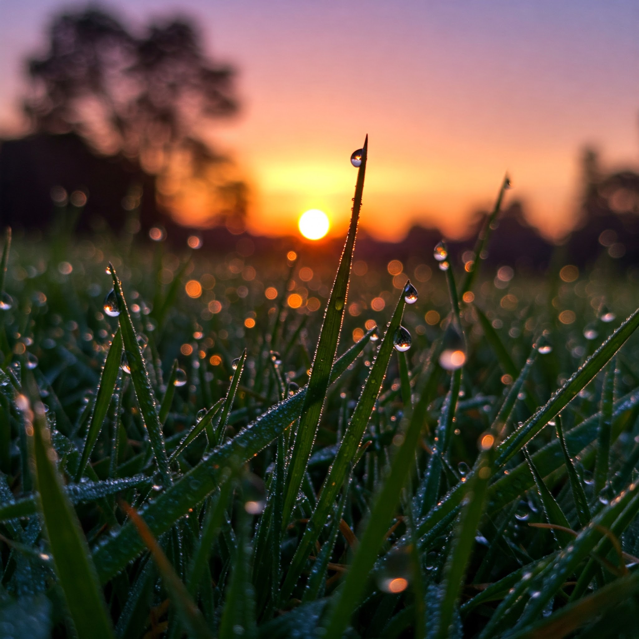 Weather background 5